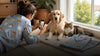 Pet owner photographing a calm dog and cat in natural window light for custom pet face pajamas