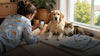 Pet owner photographing a calm dog and cat in natural window light for custom pet face pajamas